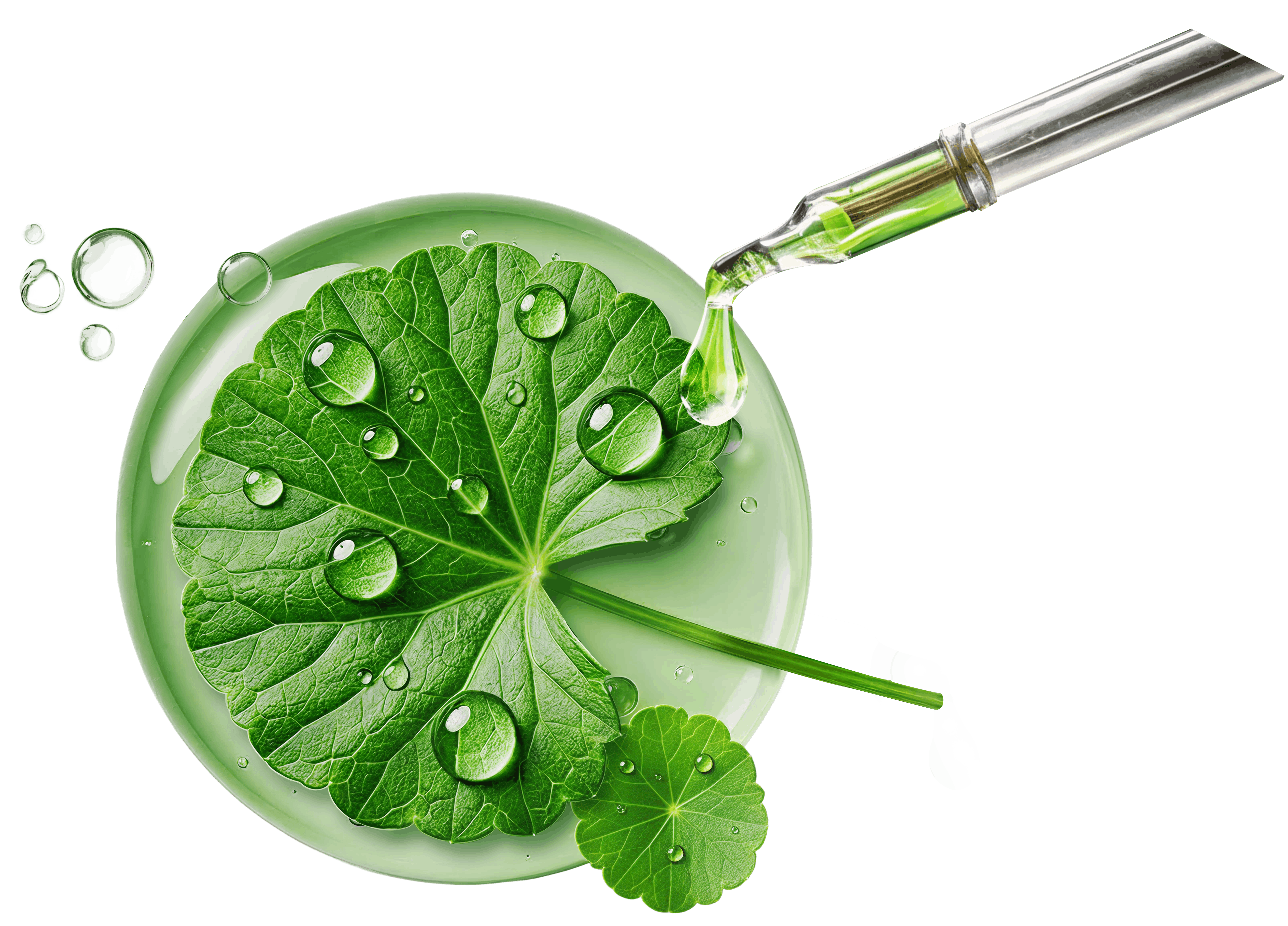 Cica & Niacinamide